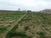 Satılır 20 sot torpaq Türkan