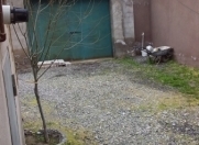 İcarəyə verilir 3 otaqlı 65 m2 həyət evi Xırdalan