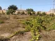 Satılır 12 sot torpaq Pirşağı