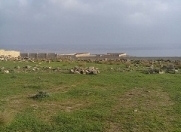 Satılır 150 sot torpaq Siyəzən