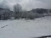 Satılır 25 sot torpaq Xızı