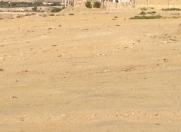 Satılır 50 sot torpaq Pirşağı