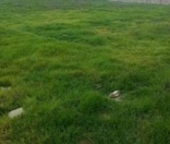 Satılır 400 sot torpaq Quba