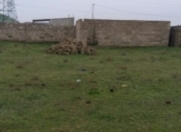 Satılır 12 sot torpaq Xəzər r.