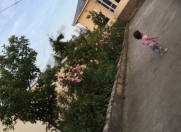 Satılır 4 otaqlı 120 m2 bağ evi Qəbələ