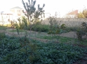 Satılır 5 sot torpaq Mehdiabad