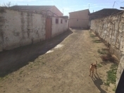 Satılır 2 sot torpaq Hövsan