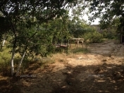 Satılır 4 sot torpaq Saray