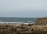 Satılır 30 sot torpaq Görədil