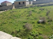 Satılır 3 sot torpaq Masazır