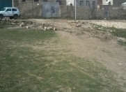 Satılır 2 sot torpaq Hökməli