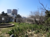 Satılır 30 sot torpaq Badamdar