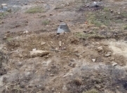 Satılır 3.2 sot torpaq Badamdar