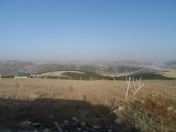 Satılır 12 sot torpaq Şamaxı