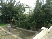 Satılır 10 sot torpaq Saray