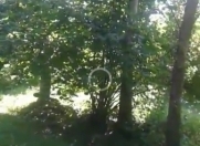 Satılır 53 sot torpaq Şəki