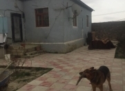 Satılır 2 otaqlı 120 m2 həyət evi Qobu