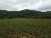 Satılır 250 sot torpaq Quba