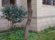 Satılır 4 otaqlı 95 m2 köhnə tikili 8 km