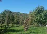 Satılır 30 sot torpaq Quba