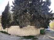 Satılır 2 sot torpaq Yaşıl bazar