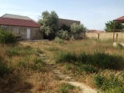 Satılır 250 sot torpaq Məhəmmədli