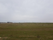 Satılır 162 sot torpaq Hökməli