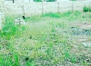 Satılır 2 sot torpaq Sumqayıt