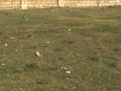 Satılır 6 sot torpaq Saray