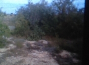 Satılır 7 sot torpaq Fatmayı