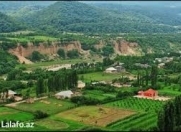 İcarəyə verilir 4 otaqlı 120 m2 bağ evi Quba