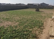 Satılır 12 sot torpaq Türkan