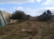 Satılır 16.5 sot torpaq Bilgəh