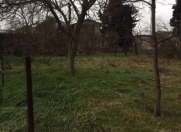 Satılır 6 sot torpaq Albalı