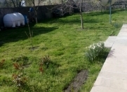 Satılır 3 otaqlı 120 m2 həyət evi Qəbələ