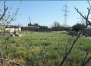 Satılır 10 sot torpaq Ceyranbatan