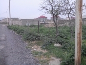 Satılır 3 sot torpaq Məhəmmədli