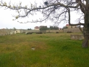 Satılır 45 sot torpaq Şağan