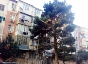 Satılır 2 otaqlı 49 m2 köhnə tikili 7 mkr