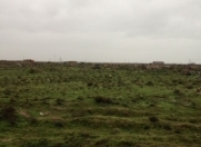 Satılır 500 sot torpaq Buzovna