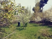 Satılır 8 sot torpaq 7 mkr