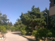 Satılır 21 sot torpaq Mərdəkan