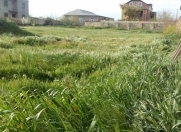 Satılır 8 sot torpaq Mehdiabad