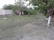 Satılır 1000 sot torpaq Perekeşkül