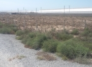 Satılır 776.5 sot torpaq Dədə Qorqud