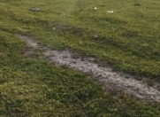 Satılır 5 sot torpaq Xaçmaz