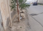 Satılır 4 otaqlı 160 m2 bağ evi Binəqədi