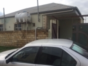 Satılır 3 otaqlı 90 m2 həyət evi Binəqədi