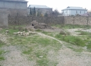 Satılır 5 sot torpaq Hövsan