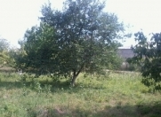 Satılır 24 sot torpaq Lənkəran